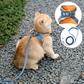 Comfortable and secure cat harness - Ideal for outings 