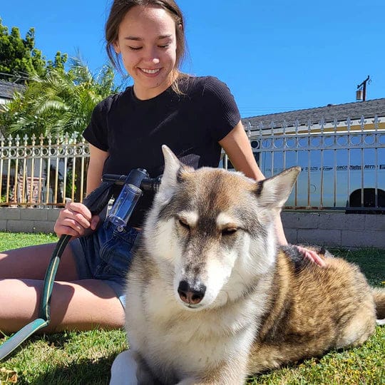 CanhoSower Pro - Sistema de banho canino de alto desempenho